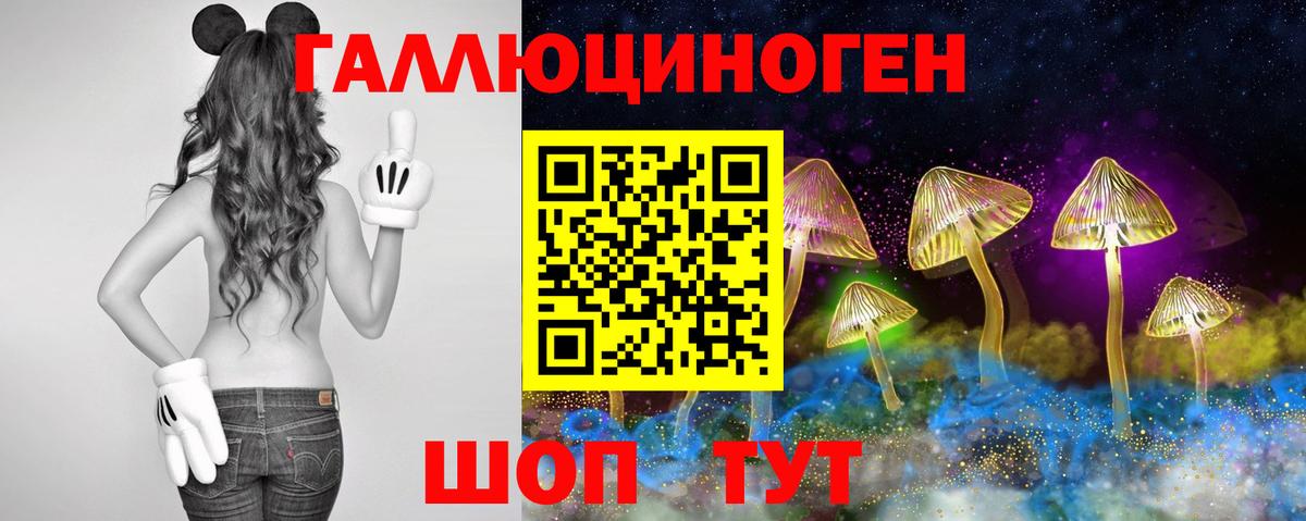 Новоуральск  Псилоцибиновые грибы Psilocybe  Вход с VPN 